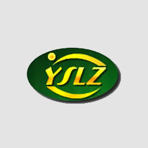 长春整站优化公司
